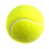 男子プロテニス協会（ATP）世界ランキング上位にいる選手のソーシャルメディアや選手ページ