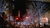 日本のクリスマス・イルミネーション（三カ国語で紹介されているフォトギャラリー）